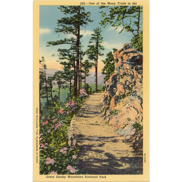 Smoky Mountains National Park Hiking Trail Vintage Postcard c. 1930s