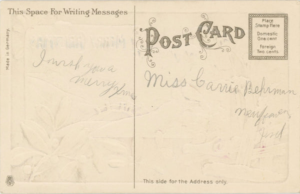Merry Christmas Embossed Birds & Mistletoe Vintage Postcard AMB c1910