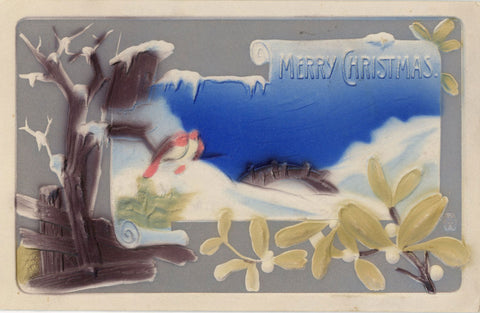 Merry Christmas Embossed Birds & Mistletoe Vintage Postcard AMB c1910