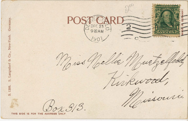 Two Kittens S Langsdorf Undivided Back Vintage Cat Postcard 1907