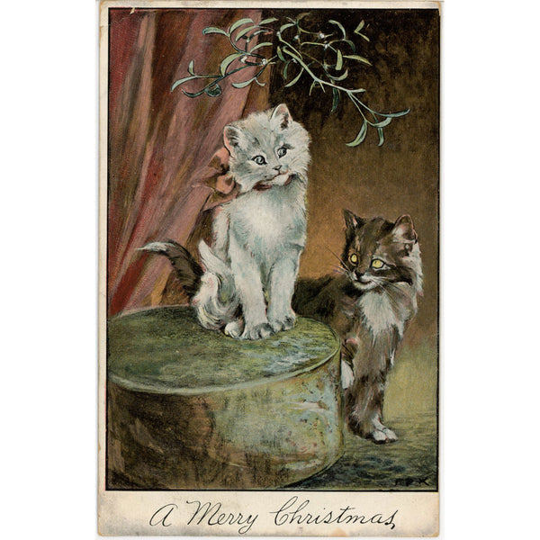 Two Kittens S Langsdorf Undivided Back Vintage Cat Postcard 1907