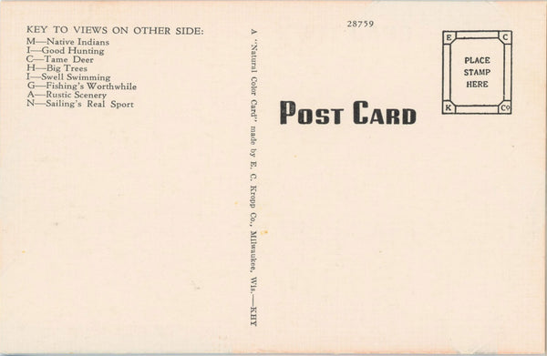 Michigan Large Letter Vintage Linen Postcard (unposted)