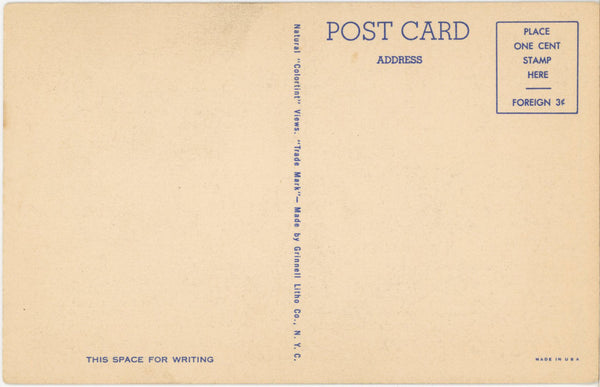 WWII Navy Sailors Sing Miss Liberty Patriotic Vintage Military Postcard (unposted)