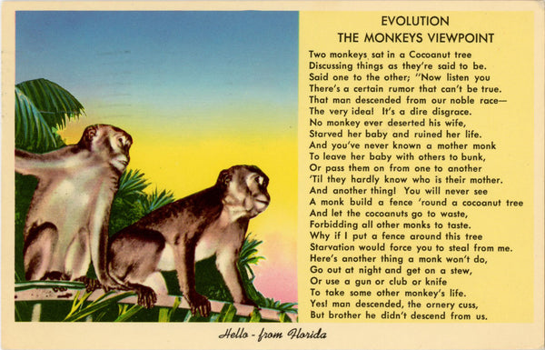 Monkey Evolution Animal Viewpoint Florida Vintage Postcard 1956