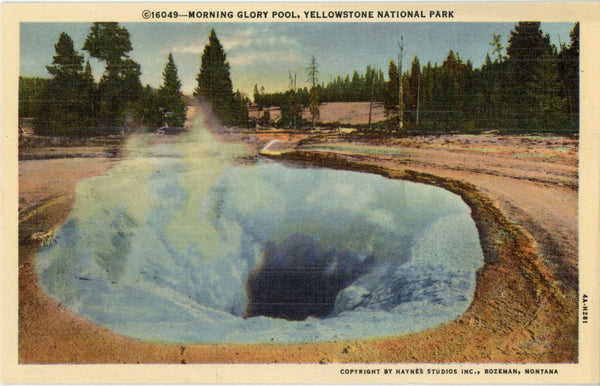 Morning Glory Pool Yellowstone National Park Wyoming Vintage Postcard (unposted)
