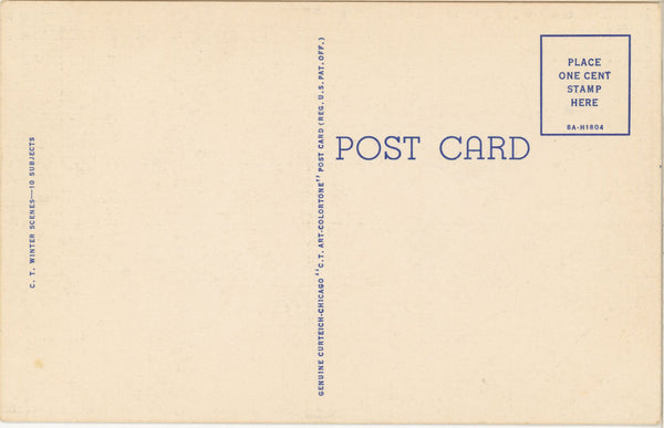 Vintage Deer Postcard Beautiful Winter Snow Mountains 1940s (unposted)