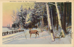 Vintage Deer Postcard Beautiful Winter Snow Mountains 1940s (unposted) - Vintage Postcard Boutique