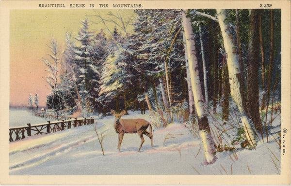 Vintage Deer Postcard Beautiful Winter Snow Mountains 1940s (unposted)