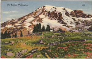 Mt. Rainier National Park Washington Vintage Postcard (unused) - Vintage Postcard Boutique