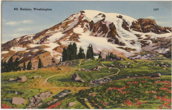 Mt. Rainier National Park Washington Vintage Postcard (unused)