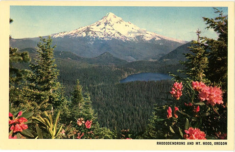 Mt. Hood  & Lost Lake Rhododendrons Oregon Vintage Postcard (unused)