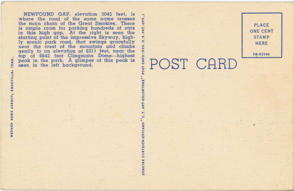 Newfound Gap Parking Area Smoky Mountains National Park Vintage Postcard c. 1930s