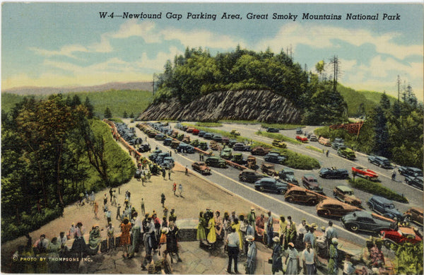 Newfound Gap Parking Area Smoky Mountains National Park Vintage Postcard c. 1930s