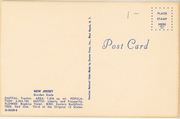 New Jersey Garden State Map Vintage Postcard (unused) - Vintage Postcard Boutique