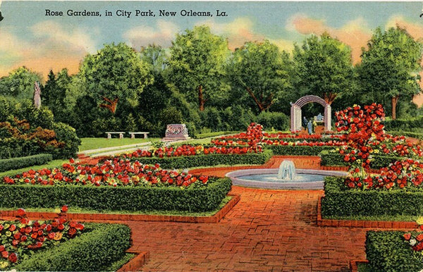 New Orleans Louisiana City Park Rose Gardens Vintage Postcard (unused) - Vintage Postcard Boutique
