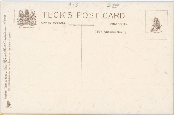 New Year January 1 Robin & Holly TUCK'S Embossed Postcard Vintage 1910s (unposted)