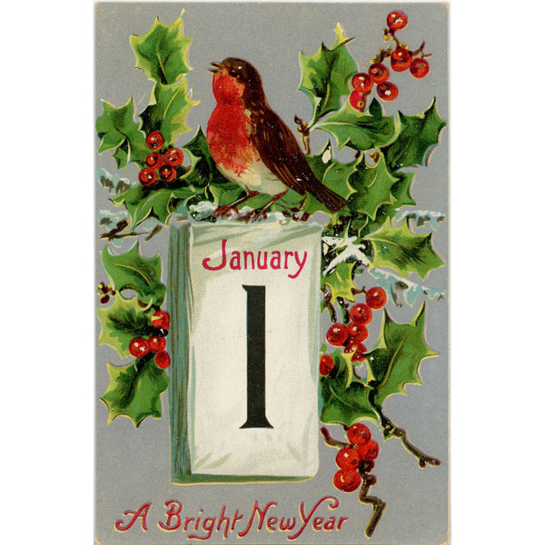 New Year January 1 Robin & Holly TUCK'S Embossed Postcard Vintage 1910s (unposted)