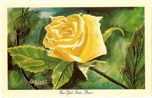 New York State Flower - Rose Botanical Postcard Signed Artist Ken Haag (unused)