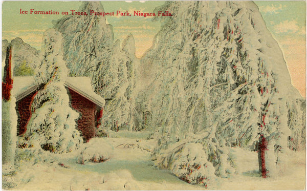Niagara Falls Ice Formation on Trees Prospect Park Vintage Postcard c. 1910s