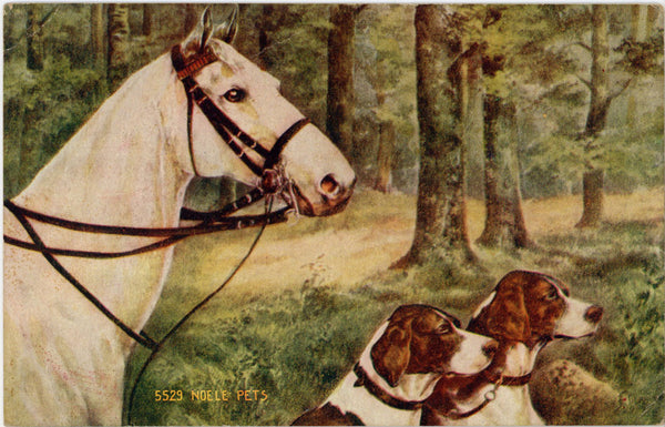 Hunting Dogs & Horse Noble Pets Vintage Postcard c. 1910s