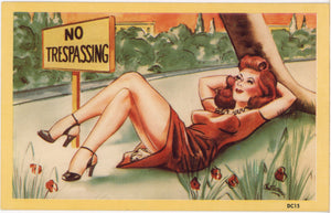 Comic Vintage Postcard No Trespassing Sexy Girl on Grass Signed CHET WARNER (unused) - Vintage Postcard Boutique