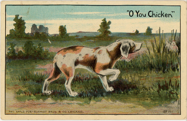 O You Chicken Vintage Hunting Dog Postcard 1911