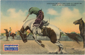 Bucking Bronco Oklahoma Rodeo Vintage Western Postcard (unposted) - Vintage Postcard Boutique