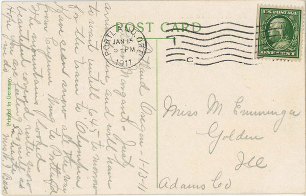 Oregon Forest Hiker Huge Evergreen Conifers Vintage Postcard 1911