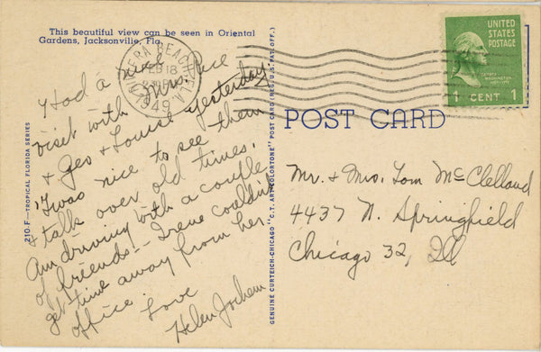 Hydrangeas at Oriental Gardens Jacksonville Florida Vintage Postcard 1949 - Vintage Postcard Boutique