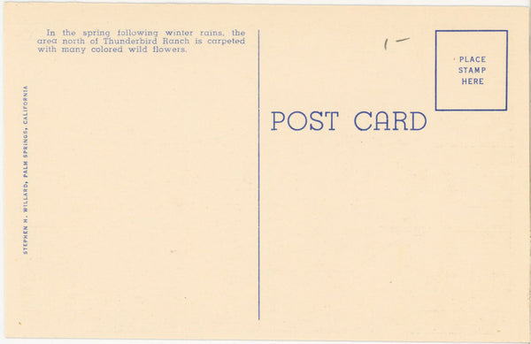 Horseback Riding Thunderbird Ranch Palm Springs California Vintage Postcard (unposted)