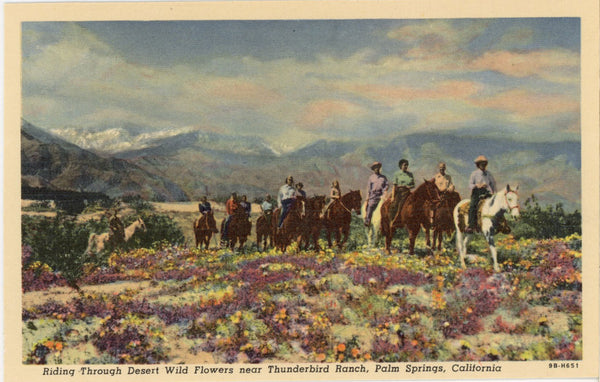 Horseback Riding Thunderbird Ranch Palm Springs California Vintage Postcard (unposted)