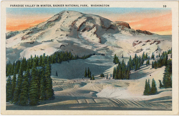 Paradise Valley in Winter Rainier National Park Washington Vintage Postcard c. 1920s