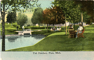 Paris Michigan Fish Hatchery Vintage Postcard 1915
