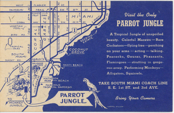 Blonde Pin-up Beauty at Parrot Jungle Red Road Miami Vintage Florida Postcard (unposted)