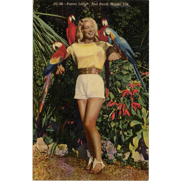 Blonde Pin-up Beauty at Parrot Jungle Red Road Miami Vintage Florida Postcard (unposted)