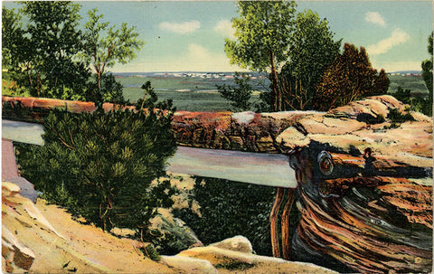 Petrified Forest Natural Bridge Arizona Vintage Postcard (unused)
