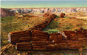 Petrified Forest Twin Sisters Arizona Vintage Postcard (unused)