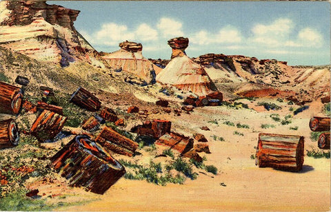 Petrified Wood & Erosions Petrified Forest Arizona Vintage Postcard (unused)