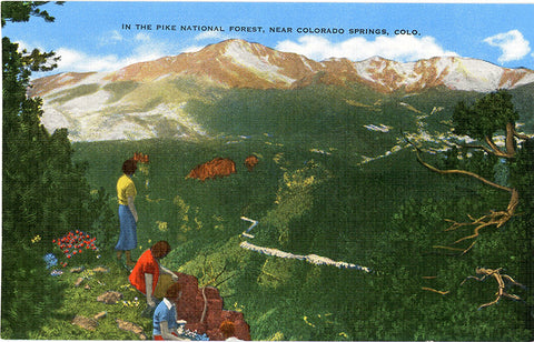 Pike National Forest Colorado Springs Colorado Vintage Postcard (unused)