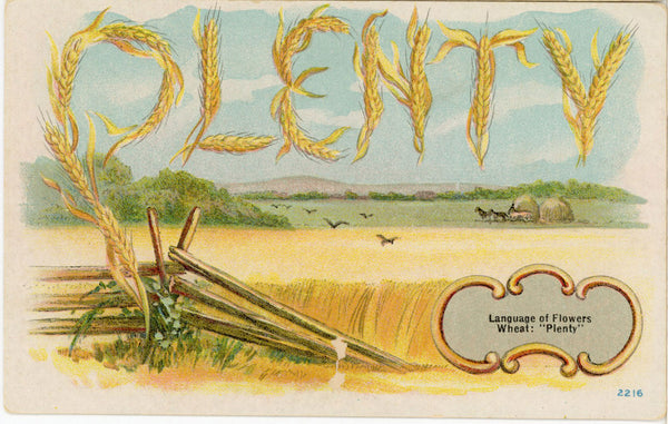 Language of Flowers Wheat Plenty Vintage Botanical Postcard c. 1910 (unused)