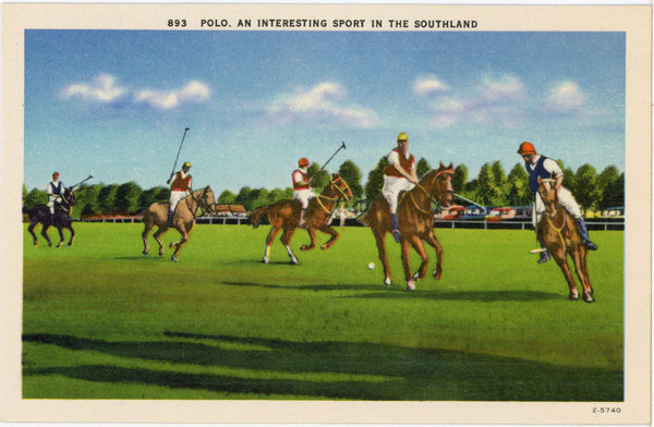 Polo Interesting Sport in the Southland Vintage Postcard (unused)