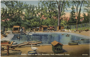 Bridgeport Connecticut Beardsley Park Poultry Yard at Zoo Vintage Postcard (unposted) - Vintage Postcard Boutique