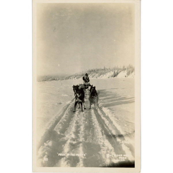 Alaska Dog Sled Team Pride of the North Vintage RPPC Postcard c 1930s (unposted)