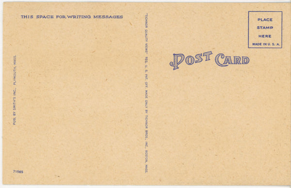 Mayflower Pilgrims Priscilla & John Alden Thanksgiving Vintage Postcard c 1930s (unposted)