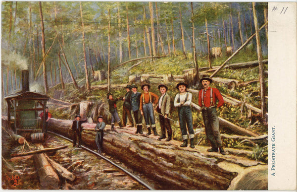 Prostrate Giant Tree California Lumberjacks Vintage Tuck's Oilette Postcard c. 1900s