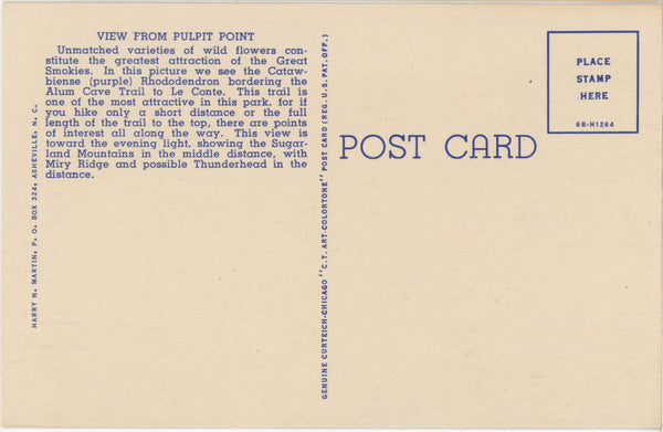 Pulpit Point View Smoky Mountains National Park Vintage Postcard c. 1930s