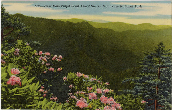 Pulpit Point View Smoky Mountains National Park Vintage Postcard c. 1930s