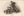 Puzzled Dog Smoking Pipe Solving Crossword RPPC Vintage Postcard 1911