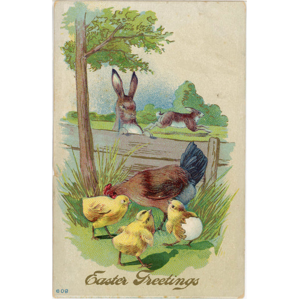 Vintage Embossed Anthropomorphic Rabbit & Chickens Easter Postcard c1910 - Vintage Postcard Boutique