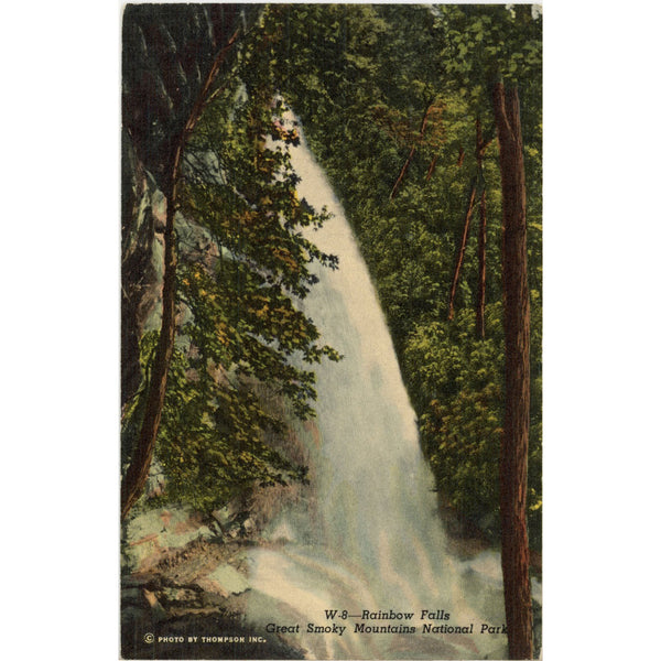 Rainbow Falls Smoky Mountains National Park Vintage Postcard 1949